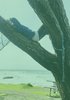 Eine hochkantige verblaste Fotografie, das Meer ist im Hintergrund und im Vordergrund liegt eine Person auf einem Baum
