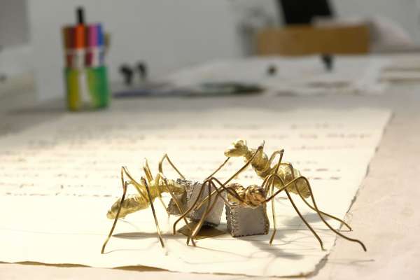 Drei goldene Metall-Ameisen nesteln an zwei kleinen, silberfarbenen Kästchen herum. Im Hintergrund sieht man ein großes, beschriebenes Papier.