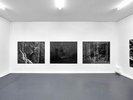 Edward Greiner, »Bilder von Landschaft«, 2017, 5 Inkjet-Prints, je 144 x 180 cm, Ausstellungsansicht