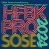 Eine grafisches Visualisierung von Text "HFBK Professionalisierung SoSe 2024"