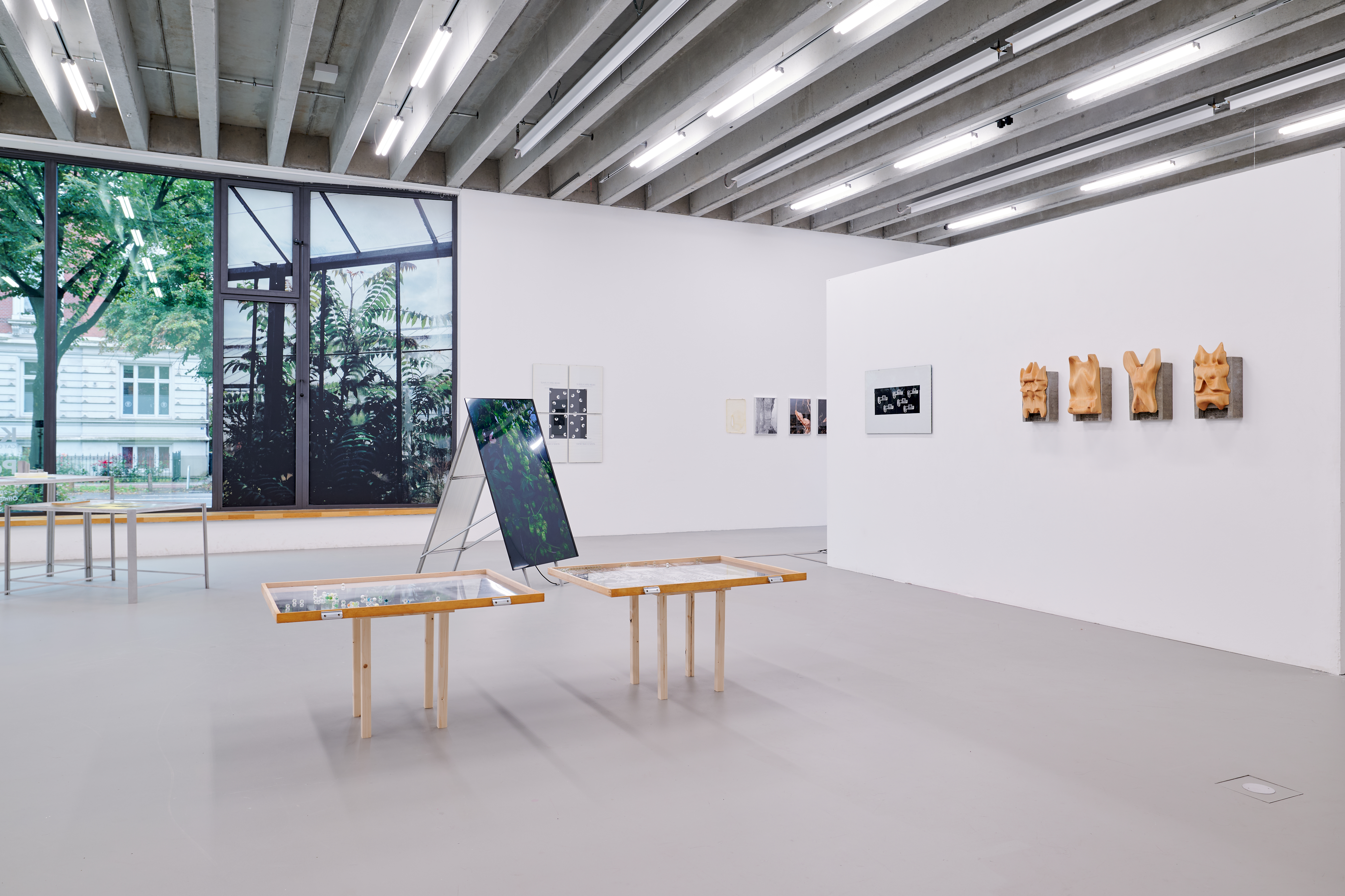 Bright gallery with white walls, large windows, several artworks displayed on wooden stands, and sculptures and photographs hanging on the walls