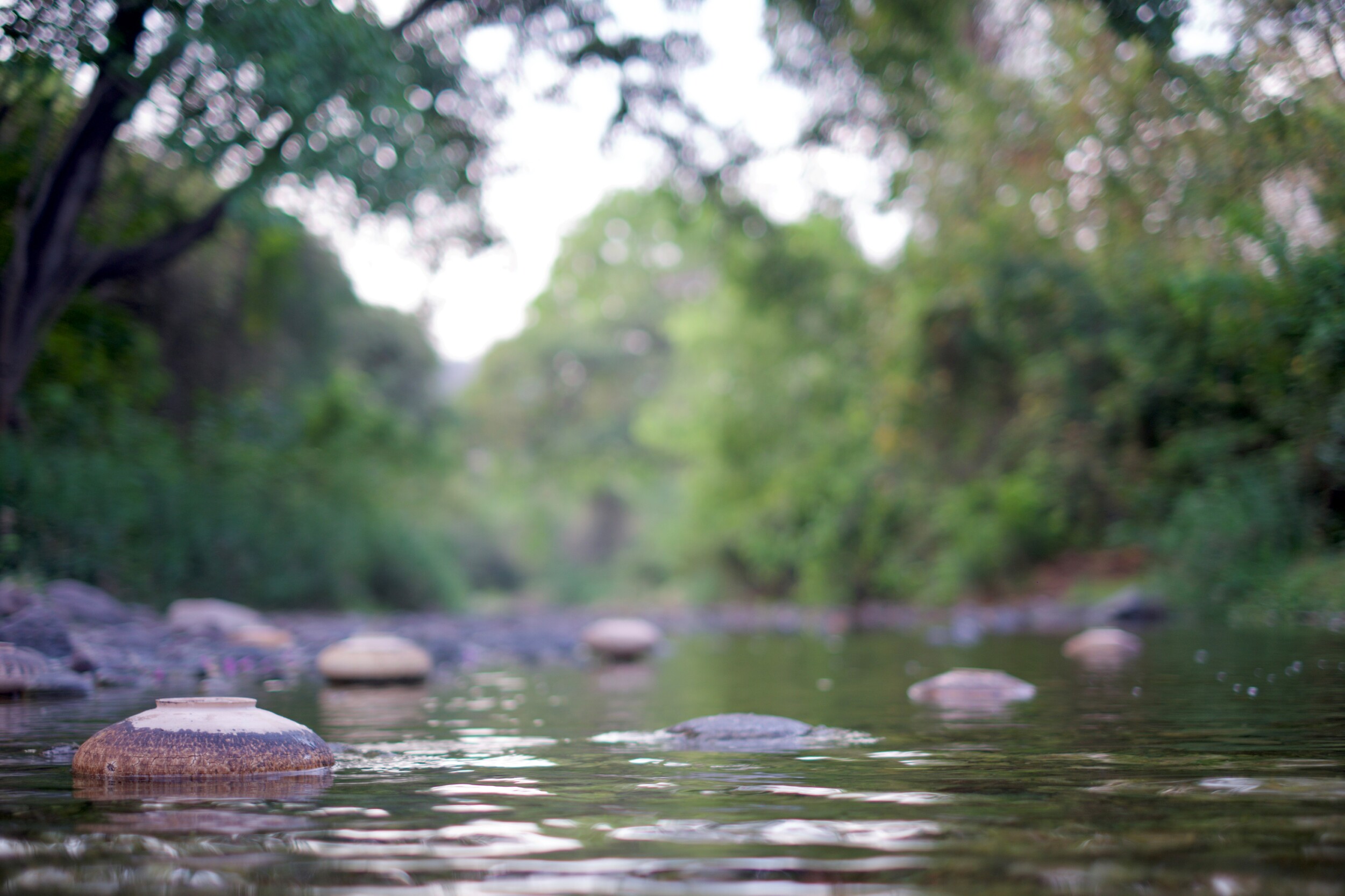 Flacher Bachlauf in einer grünen, bewaldeten Landschaft. Mehrere runde, keramische Gefäße ragen teilweise aus dem Wasser, das sanfte Wellen bildet. Der Hintergrund mit Bäumen und Ufer ist unscharf, wodurch der Fokus auf den Objekten im Wasser liegt.