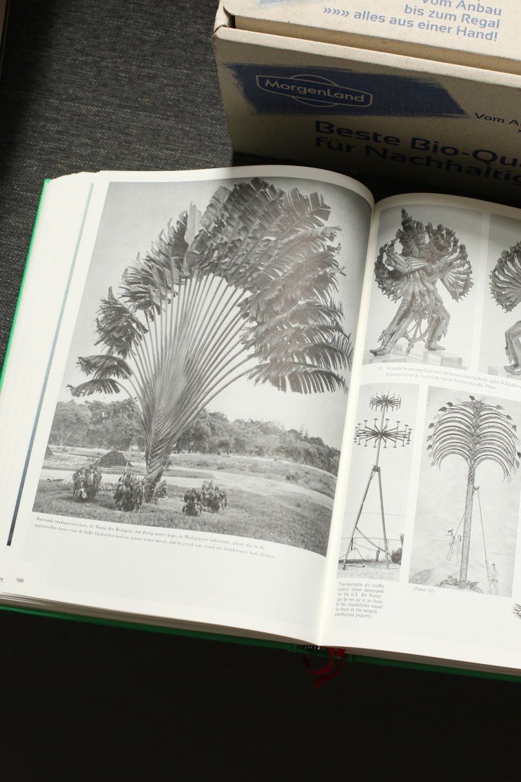 Open book showing black-and-white images of a large palm tree and technical constructions beside it.