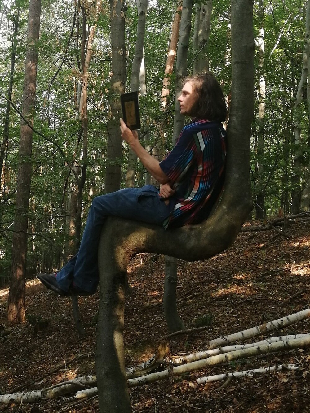 Person sitzt auf einem gebogenen Baumstamm in einem Wald und hält ein Buch in der Hand. Sonnenlicht fällt durch die Blätter und beleuchtet den Boden mit herabgefallenen Zweigen.